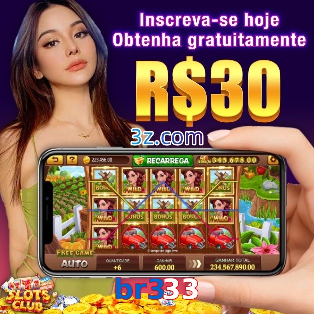 br333